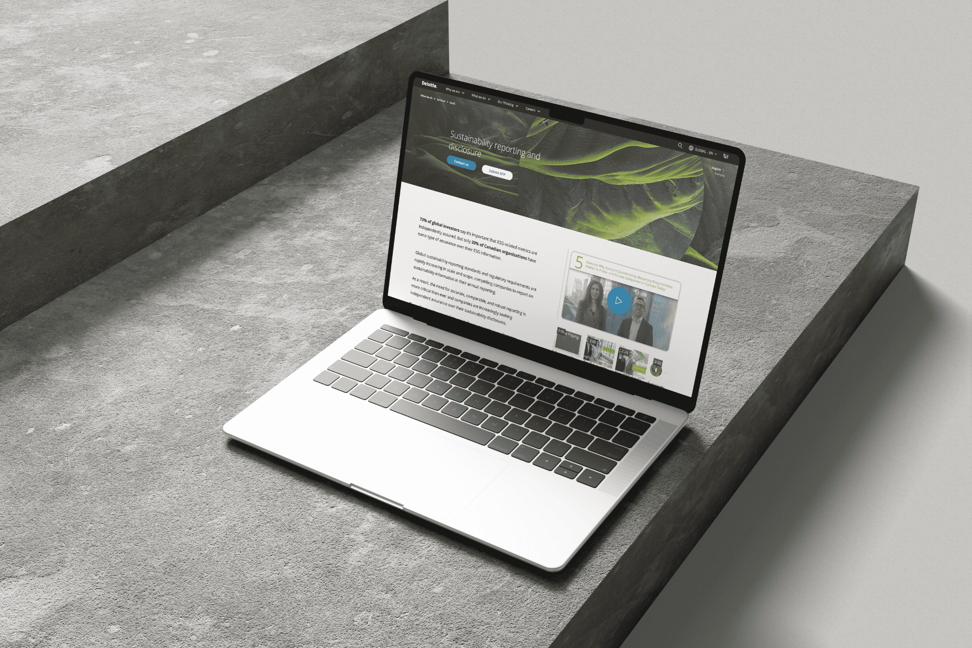 Deloitte Sustainability Reporting platform displayed on a laptop